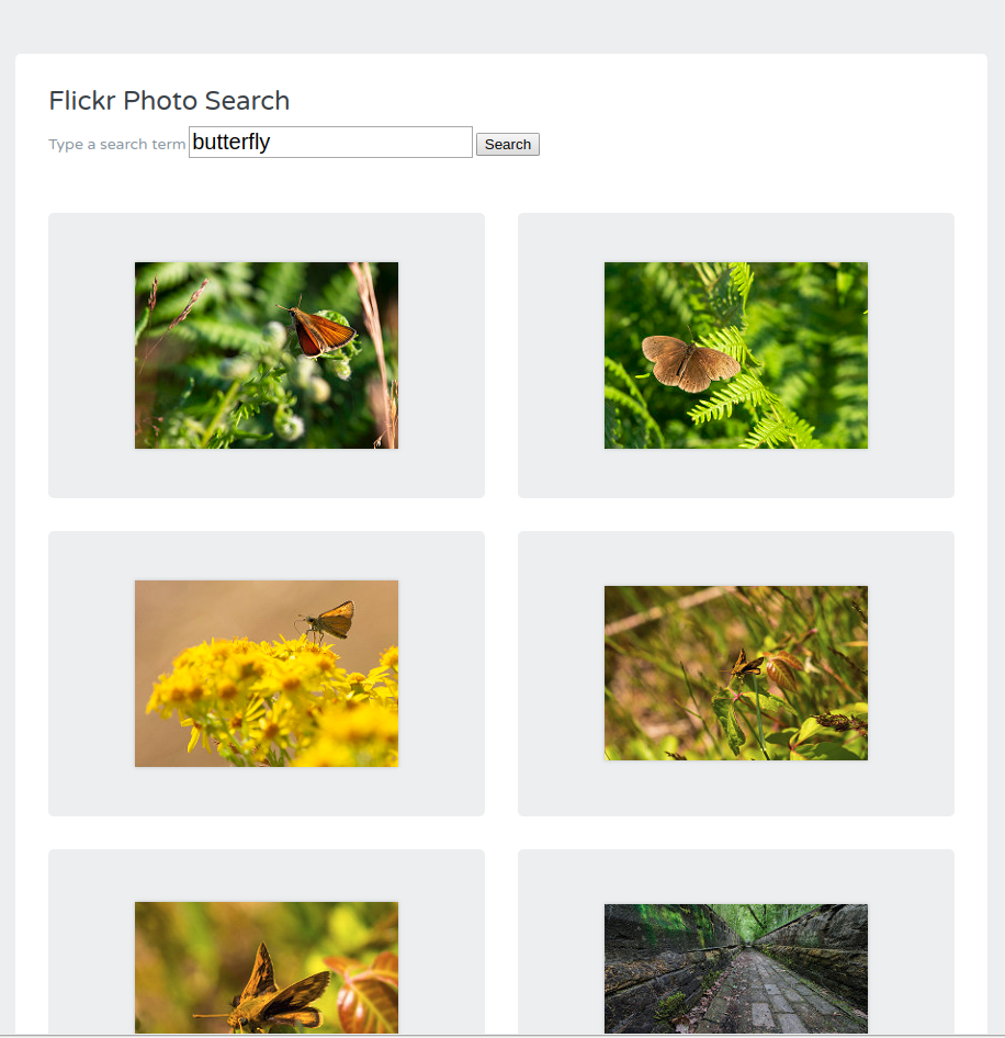 Flickr Photo Search Website